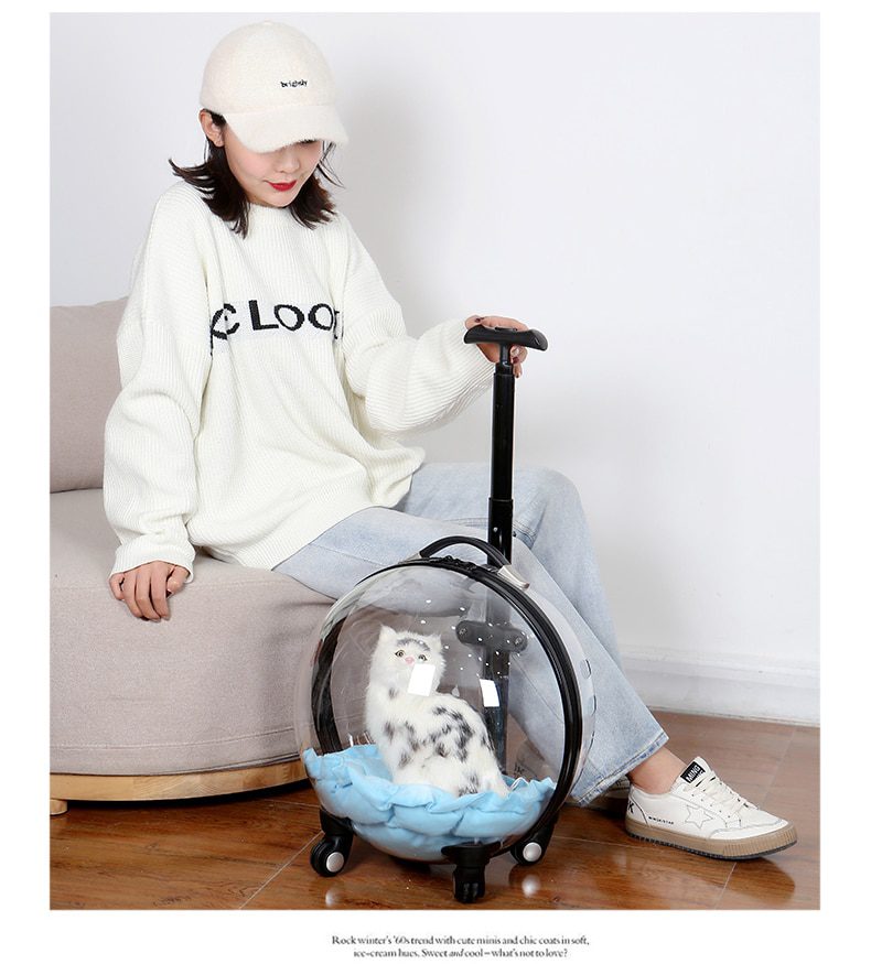 NEW Transparent Capsule Pet Travel Trolley for Puppies Dogs Cat Carriers Bag with Trolley Wheel