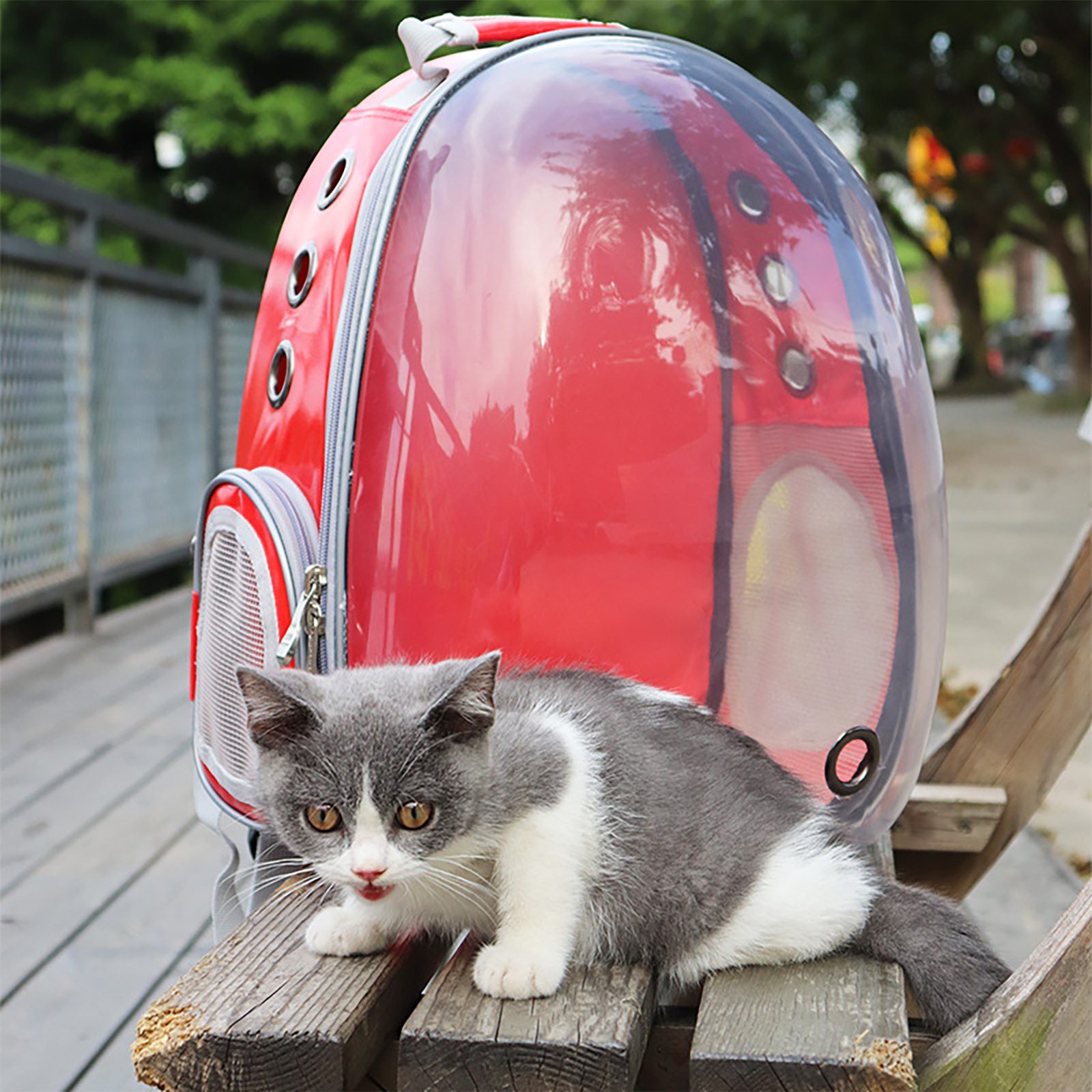 NEW Pet Carrier Backpack Bubble Cats Puppies Pet Cat Dog Carrying Bag Backpack Large Space for Travel Hiking Outdoor