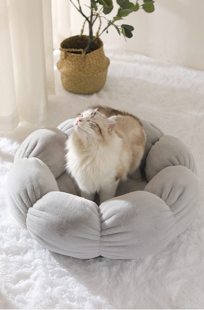 NEW Flower Shaped Cat Bed Indoor Cozy Pet Beds Ultra Soft Plush Dog Basket Sunbed Warm Self-Warming House Sleeping Bag Cushion M