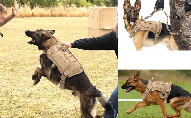 NEW Tactical Military Vest K9 Pet Outdoor Training Vest Dog Harness and Leash Set With Collar for Medium Large Dogs German Sheph