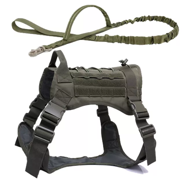 Green Vest Leash