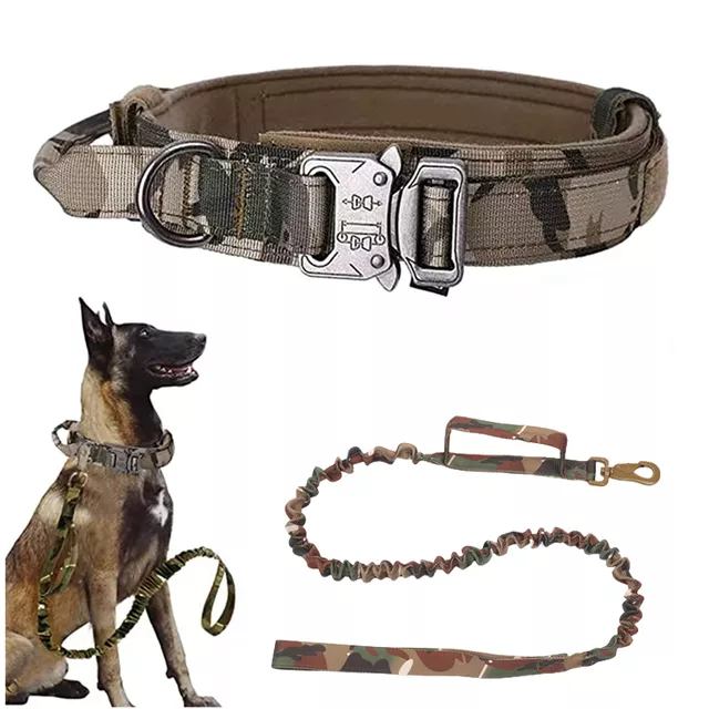 CP Collar Leash