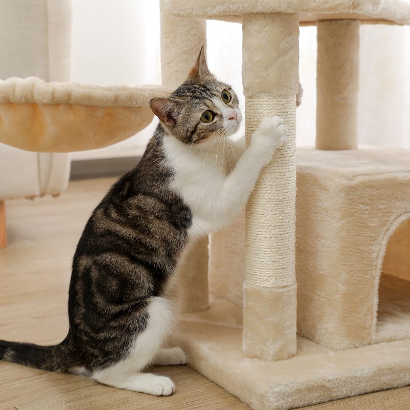 NEW H176cm Pet Cat Tree House Condo Toy Scratching Post for Cats Wood Climbing Tree Cat Tree Towers Furniture Fast Domestic Deli