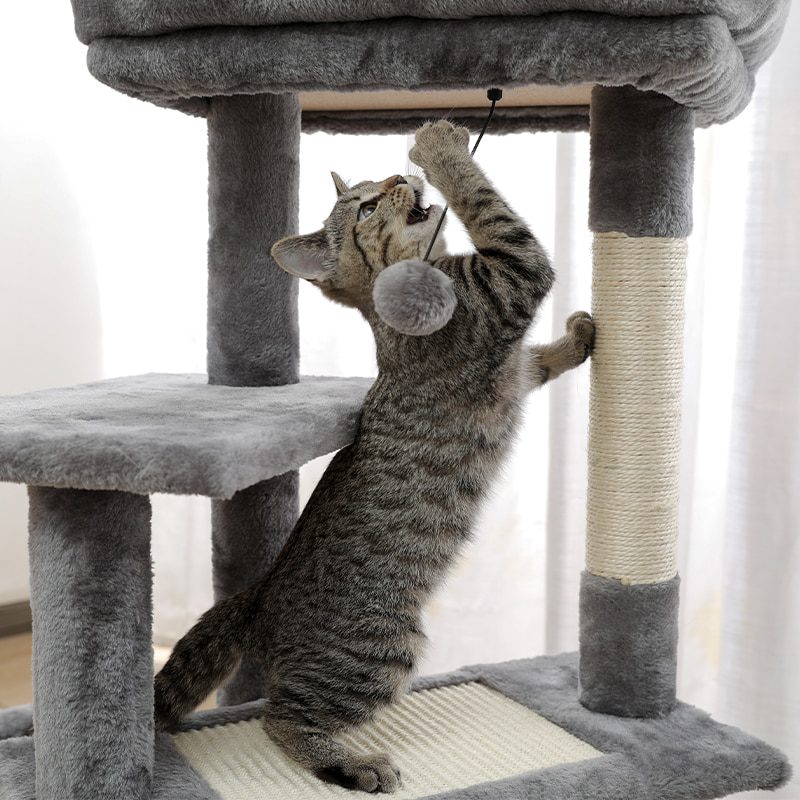 NEW H176cm Pet Cat Tree House Condo Toy Scratching Post for Cats Wood Climbing Tree Cat Tree Towers Furniture Fast Domestic Deli