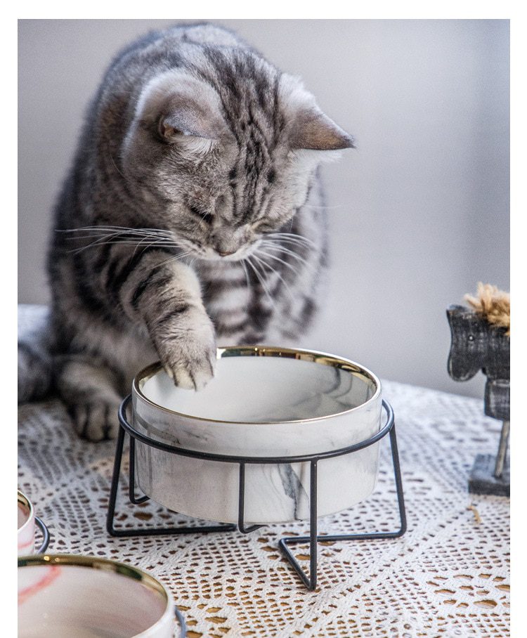 NEW Marble Ceramic Dog Bowl Cat Food and Water Bowls Dish with Wood Stand Heavy Weight Pet Feeder for Big Flat Faced Cats Puppy