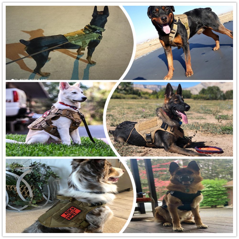 NEW Metal Buckle Tactical Dog Harness MOLLE Pet Train Vest German Shepherd Leash Hound Golden Retriever Labrador Saint Bernard H