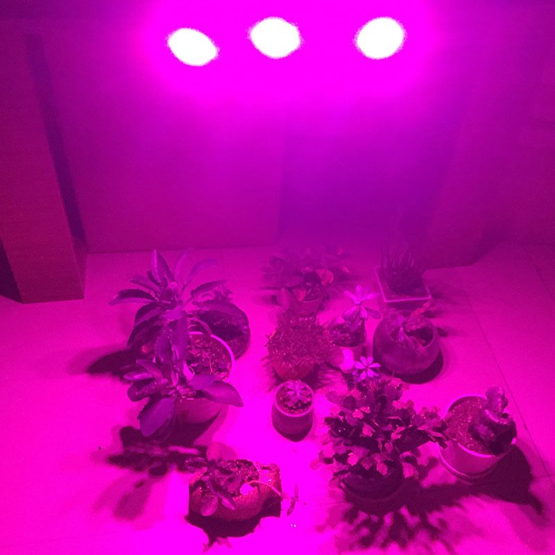 NEW 3 Head 60 80 LED Plant Grow Light phyto Lamps set Fitolamp Indoor Greenhouse Growbox tent growing lighting For Hydro Growbox