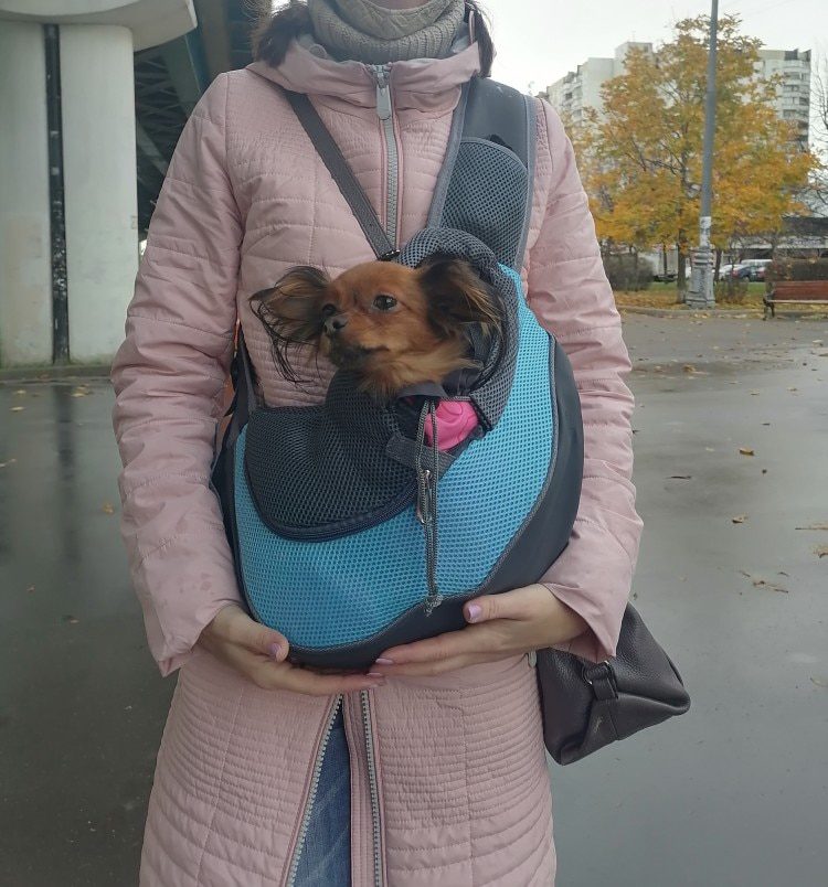 NEW Pet Puppy Carrier S/L Outdoor Travel Dog Shoulder Bag Mesh Oxford Single Comfort Sling Handbag Tote Pouch