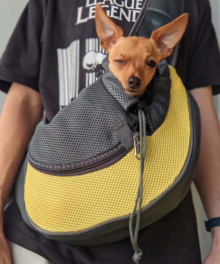 NEW Pet Puppy Carrier S/L Outdoor Travel Dog Shoulder Bag Mesh Oxford Single Comfort Sling Handbag Tote Pouch