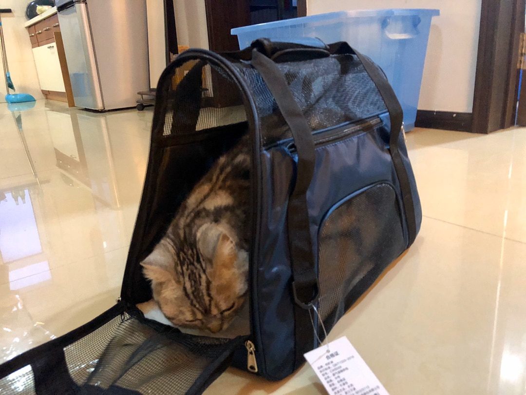 NEW Dog Bags Portable Dog Carrier Bag Mesh Breathable Carrier Bags for Small Dogs Foldable Cats Handbag Travel Pet Bag Transport