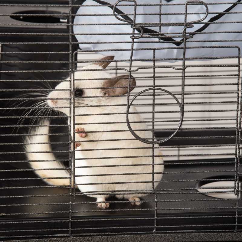 Rabbit Chinchilla Hamster Cage with 4 Universal Wheels and Multiple Platforms - Silver Grey