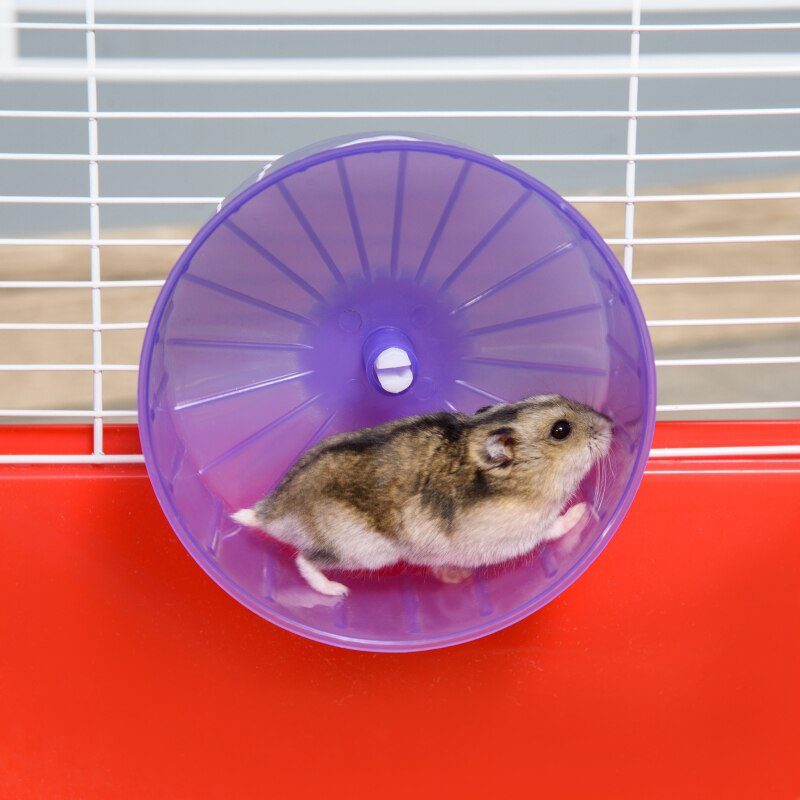 Large Hamster Cage and Habitat, 2-Level Steel Rat Cage, Small Animal House, with Tube Tunnels, Exercise Wheel,