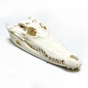 30-35cm
