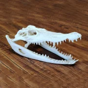 20-25cm